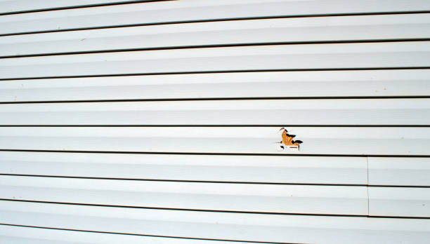 Best James Hardie Siding  in Hardwick, GA